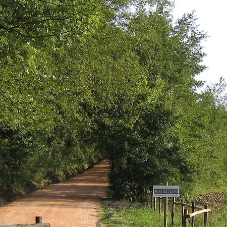 Çiftlik konaklama Azienda Agraria Montelujano Gubbio