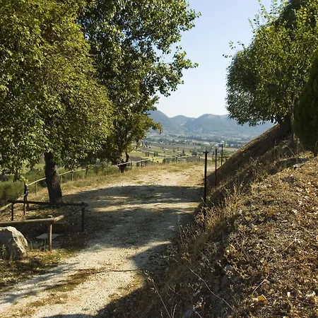 Vakantieboerderij Azienda Agraria Montelujano *