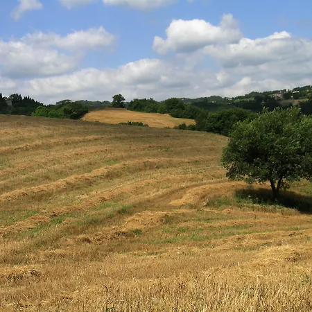 Çiftlik konaklama Azienda Agraria Montelujano